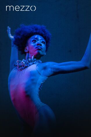 Sulkary | Identidad -1| El cristal - Danza Contemporanea de Cuba