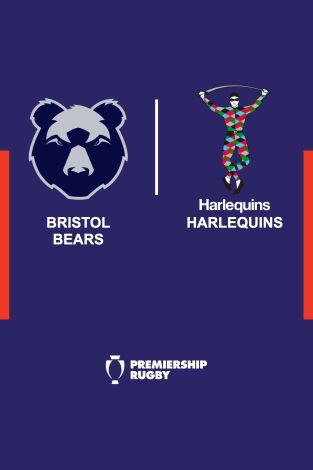 T. Regular. T. Regular: Bristol Bears - Harlequins