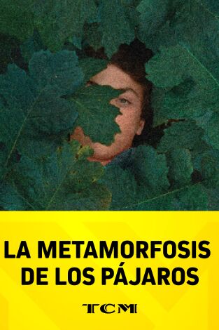 La metamorfosis de los pájaros