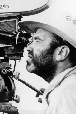 Selección TCM. T(T2). Selección TCM (T2): Terrence Malick