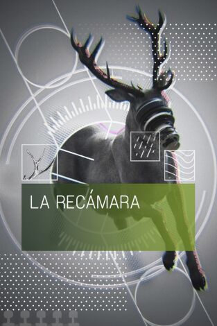 La recámara. T(T1). La recámara (T1): Mulheres na caça