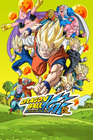 Dragon Ball Z Kai. T(T2). Dragon Ball Z Kai (T2): Ep.12 ¡¿Qué ocurre, Piccolo?! Un resultado inesperado en la primera ronda