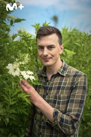 La vida secreta de los árboles. La vida secreta de los...: Los primeros años