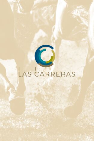 Carreras de Caballos- Turf. T(2025). Carreras de... (2025): 08/06/2025 Hipódromo de la Zarzuela
