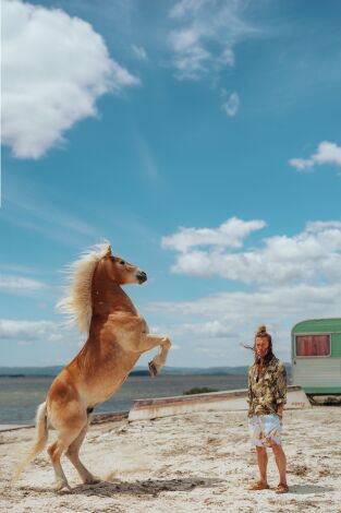 Panda. T(T2). Panda (T2): Ep.2 