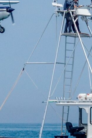 Pesca con arpón. Pesca con arpón: Pez para terminar