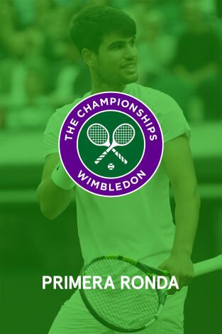 Masculino. Masculino: Fognini - Alcaraz