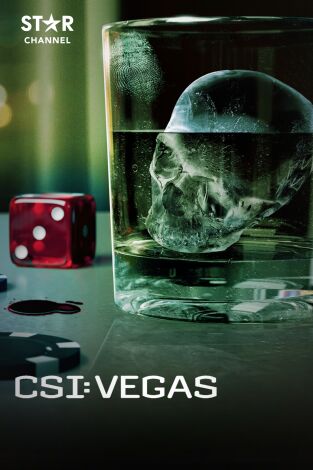 CSI: Vegas. T(T3). CSI: Vegas (T3)