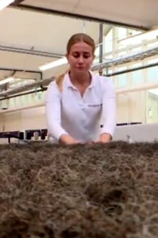 ¿Cómo lo hacen?. ¿Cómo lo hacen?: Ep.2