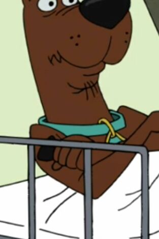 ¡Enróllate Scooby-Doo!. T(T2). ¡Enróllate... (T2): Que viene el lobo