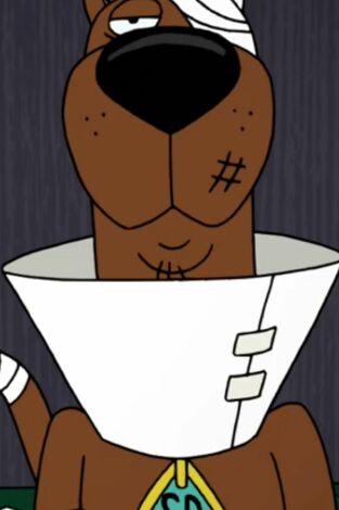 ¡Enróllate Scooby-Doo!. T(T2). ¡Enróllate... (T2): Como Superar Tu Cobardía