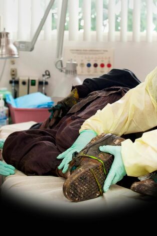 Getting On. T(T1). Getting On (T1): Ep.4 