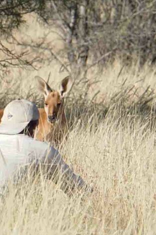 Wild Frank en Australia. Wild Frank en Australia: Ep.2