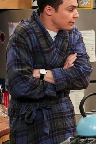 Big Bang. T(T10). Big Bang (T10): Ep.20 La disipación de los recuerdos