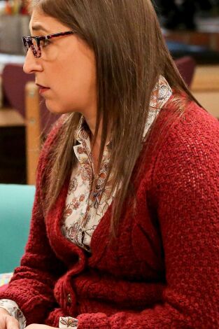 Big Bang. T(T11). Big Bang (T11): Ep.7 La metodología de la geología