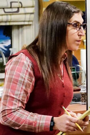 Big Bang. T(T11). Big Bang (T11): Ep.10 La erosión de la seguridad