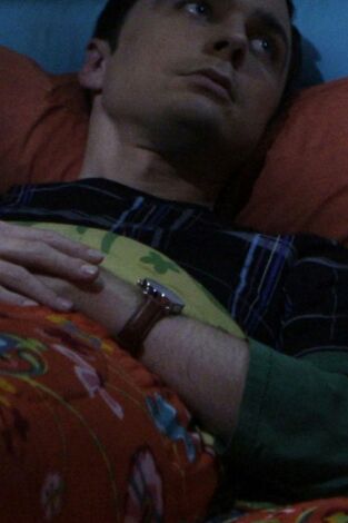 Big Bang. T(T2). Big Bang (T2): Ep.21 La re-normalización de Las Vegas