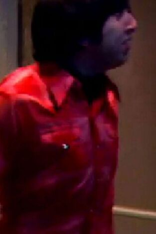 The Big Bang Theory. T(T4). The Big Bang Theory (T4): Ep.16 La fórmula de la cohabitación