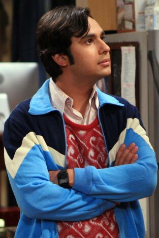 The Big Bang Theory. T(T4). The Big Bang Theory (T4): Ep.22 La implementación del ñu