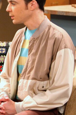 Big Bang. T(T5). Big Bang (T5): Ep.2 La teoría de la plaga