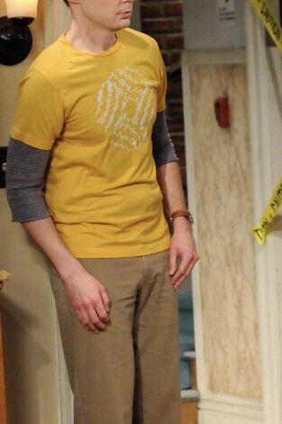 Big Bang. T(T5). Big Bang (T5): Ep.9 La difusión de la ornitofobia