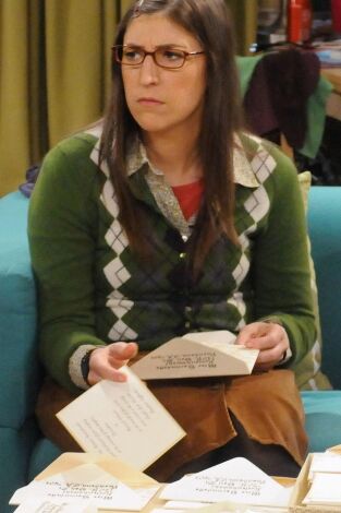 Big Bang. T(T5). Big Bang (T5): Ep.16 La solución a las vacaciones