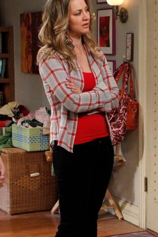 Big Bang. T(T5). Big Bang (T5): Ep.17 La desinfectación de Rothman