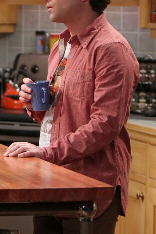 Big Bang. T(T7). Big Bang (T7): Ep.20 La disjunción de la relación