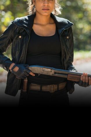 The Walking Dead. T(T7). The Walking Dead (T7)
