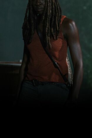 The Walking Dead. T(T9). The Walking Dead (T9)