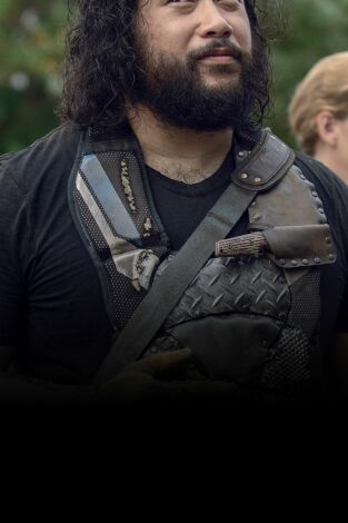 The Walking Dead. T(T9). The Walking Dead (T9)