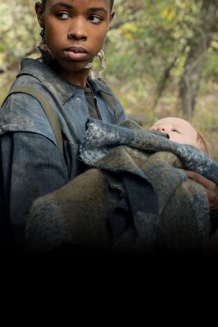 The Walking Dead. T(T10). The Walking Dead (T10)