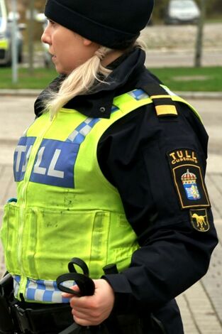 Control de fronteras: Suecia. T(T2). Control de... (T2): Ep.6