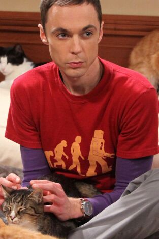 The Big Bang Theory. T(T4). The Big Bang Theory (T4): Ep.3 Una sustitución brillante