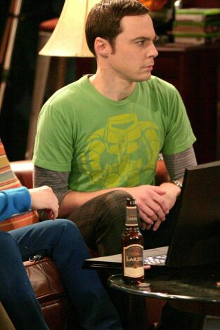 The Big Bang Theory. T(T4). The Big Bang Theory (T4): Ep.19 En guerra con Zarnecki