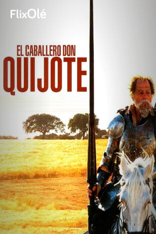 El caballero Don Quijote