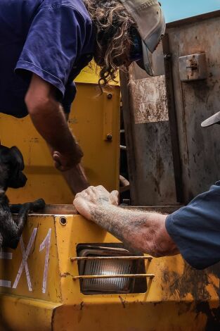 Cazadores de Zafiros. Cazadores de Zafiros: La necesidad es madre de...