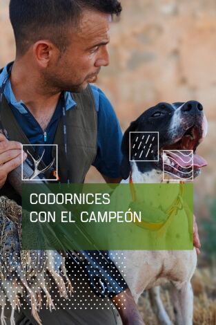 Codornices con el campeón