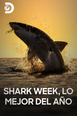 Shark week: lo mejor del año