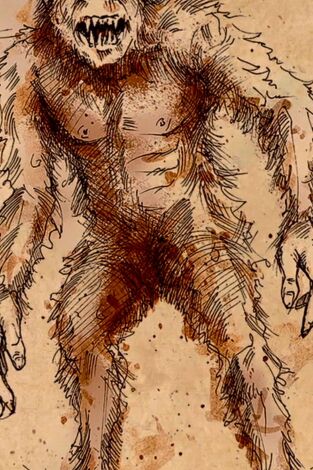 Monstruos: archivos perdidos. Monstruos: archivos...: El misterio del Hombre Salvaje de Minnesota