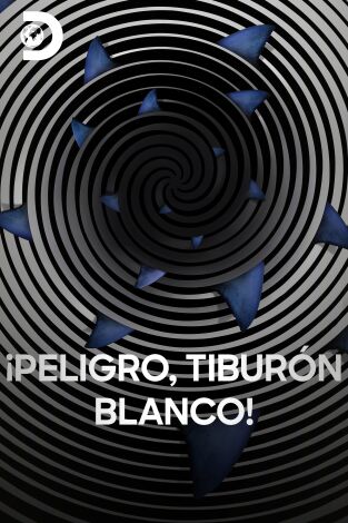 ¡Peligro, tiburón blanco!