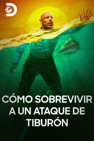 Cómo sobrevivir a un ataque de tiburón