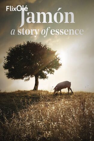Jamón, a story of essence