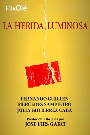 La herida luminosa (1997)