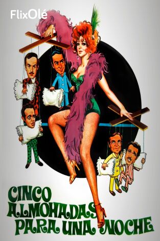 Cinco almohadas para una noche