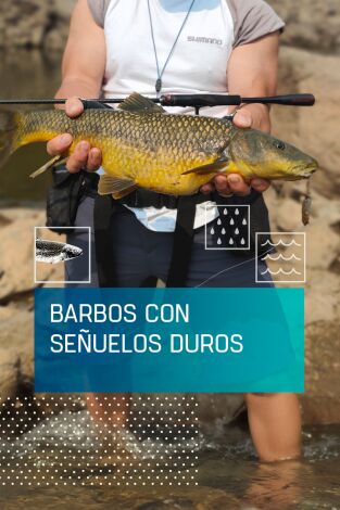 Barbos con señuelos