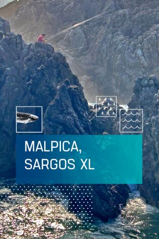 Malpica, sargos XL
