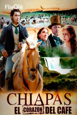 Chiapas, el corazón del café