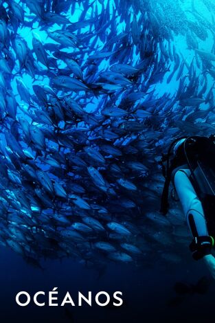 Océanos. Océanos: Islas de vida