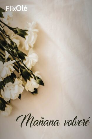 Mañana volveré